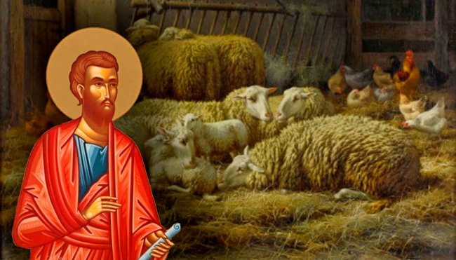 Народный праздник Онисим-овчарник, Зимобор